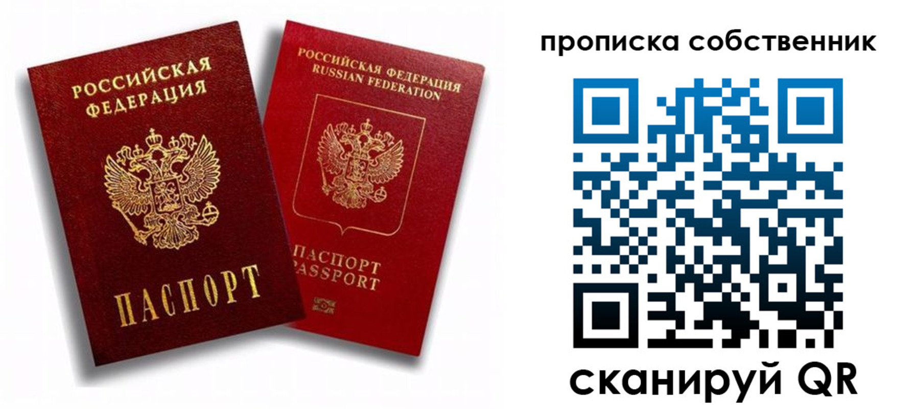прописка 2025 в Лосино-Петровском